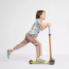 Micro Roller Maxi