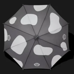 Regenschirm